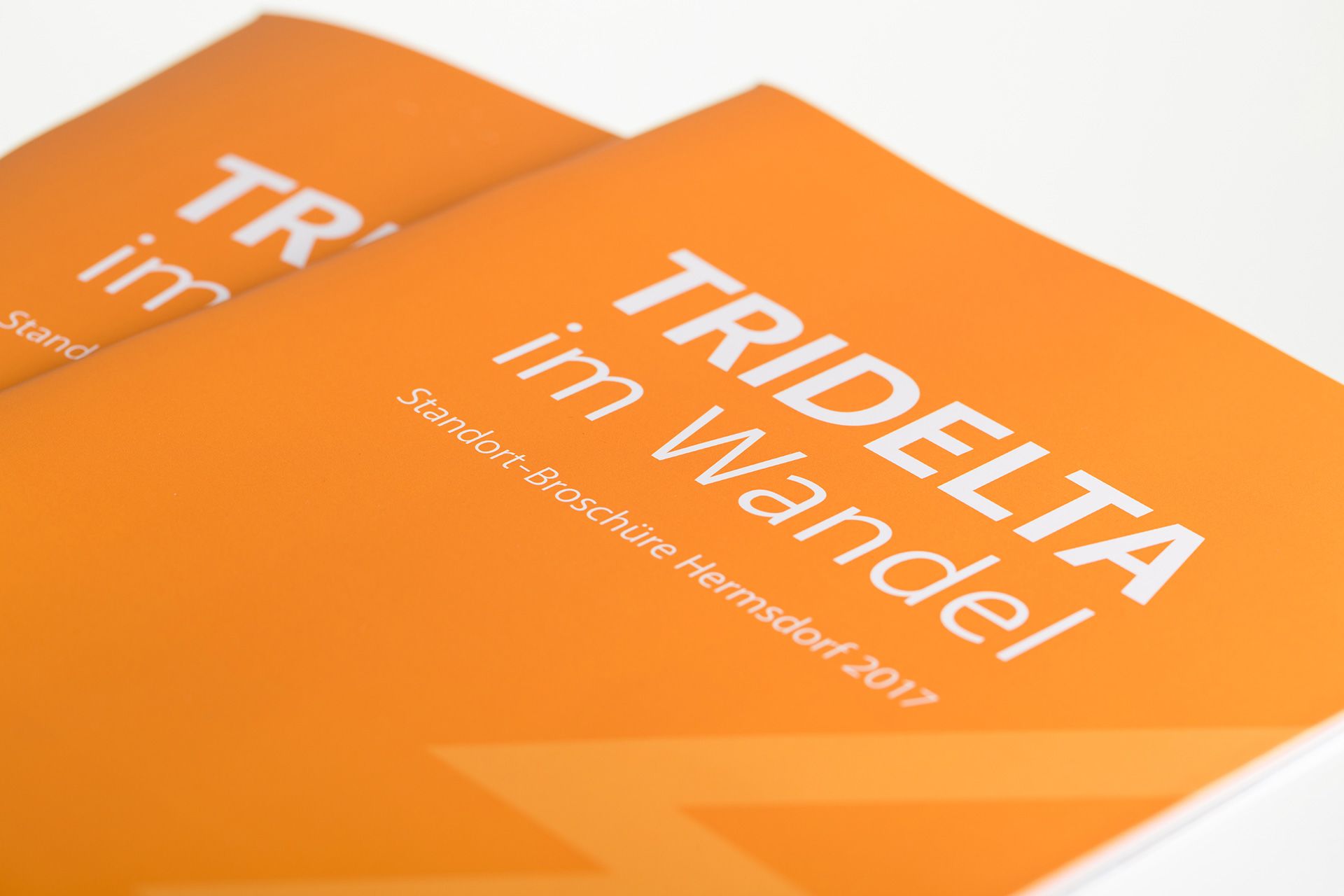 Das Cover der Standortbroschüre "Tridelta im Wandel"