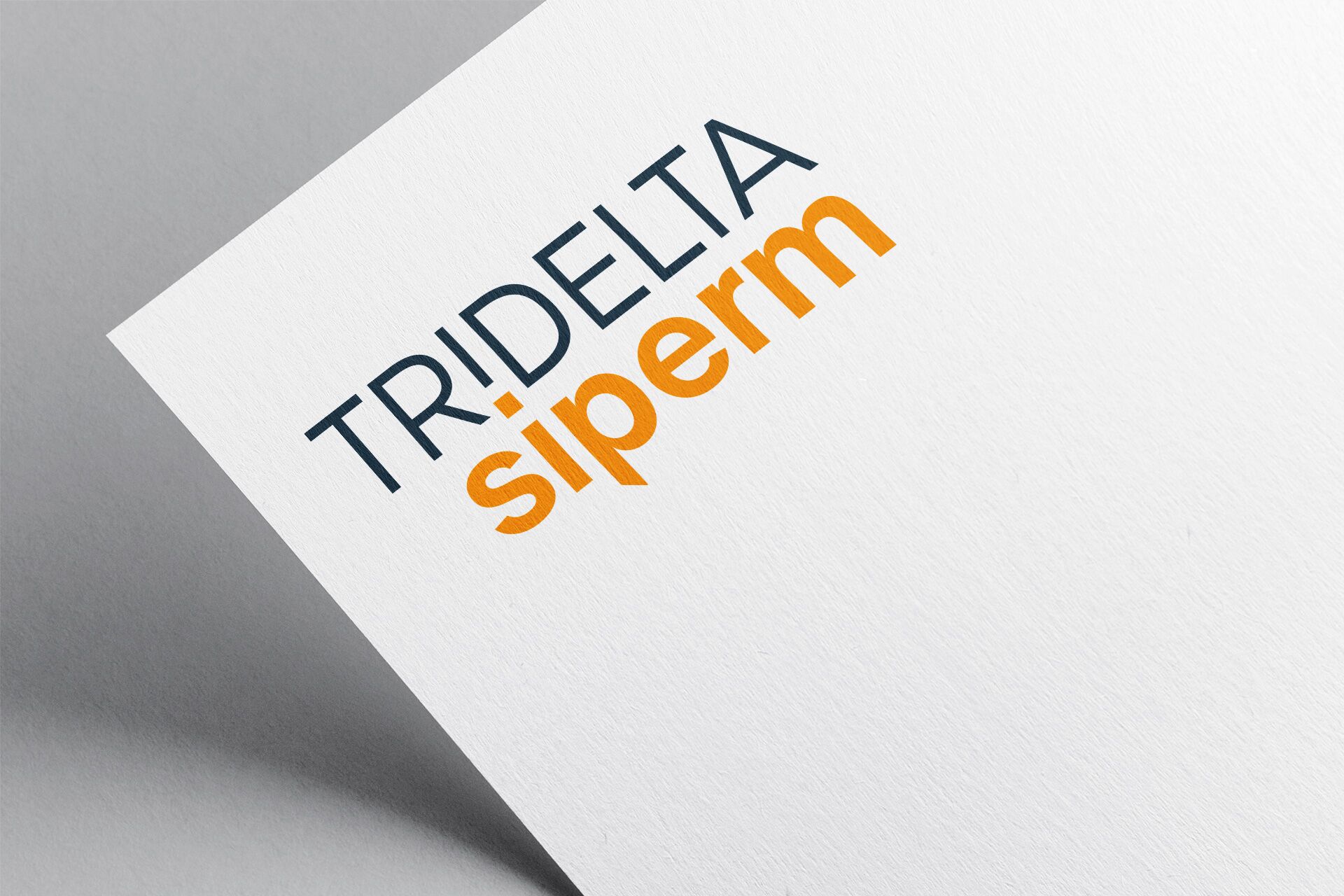 Mockup des Logo Redesign für Tridelta-Siperm