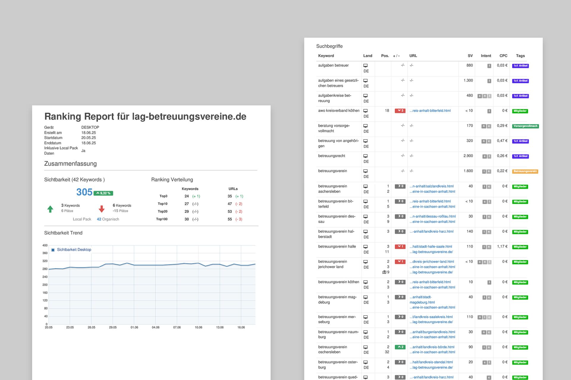 Screenshots zeigen Google Sichtbarkeitstrend und aktuelles Ranking der erfolgversprechendste Keywords