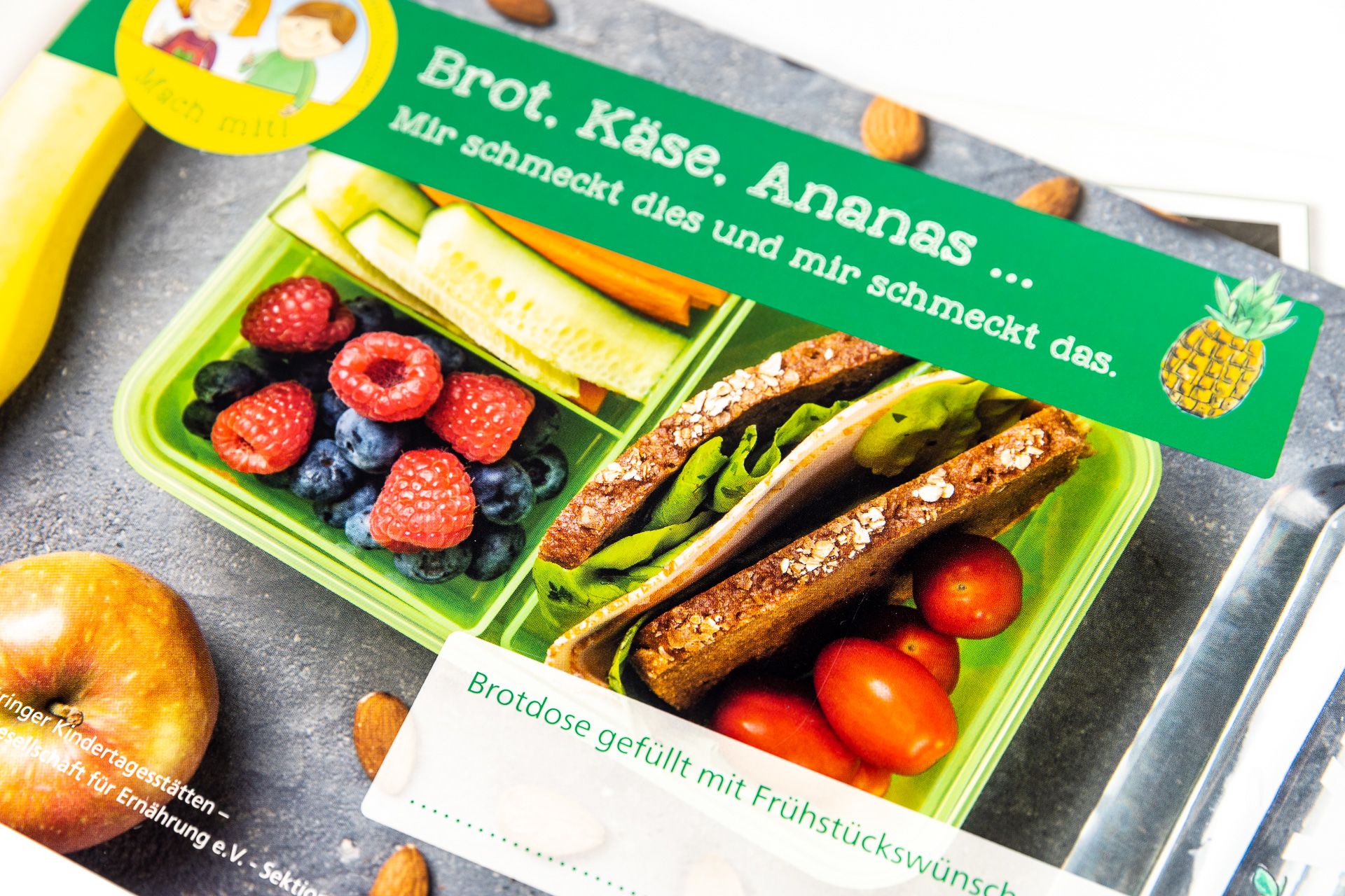 Ein buntes Infoblatt der DGE mit gesunden Lebensmitteln zur Aufklärung von gesunder Ernährung bei Kindern