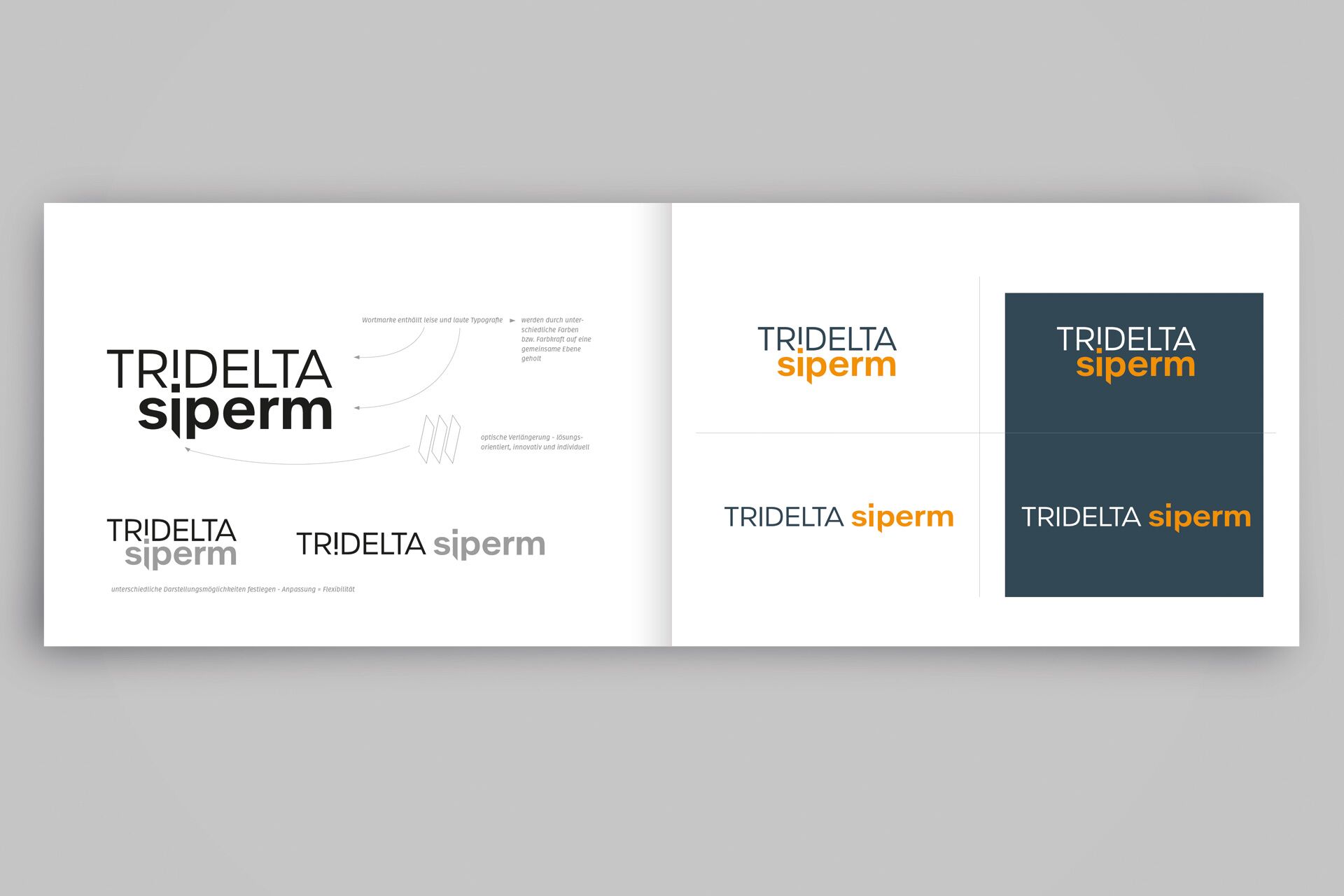 Logo Redesign: Logo-Konstruktion