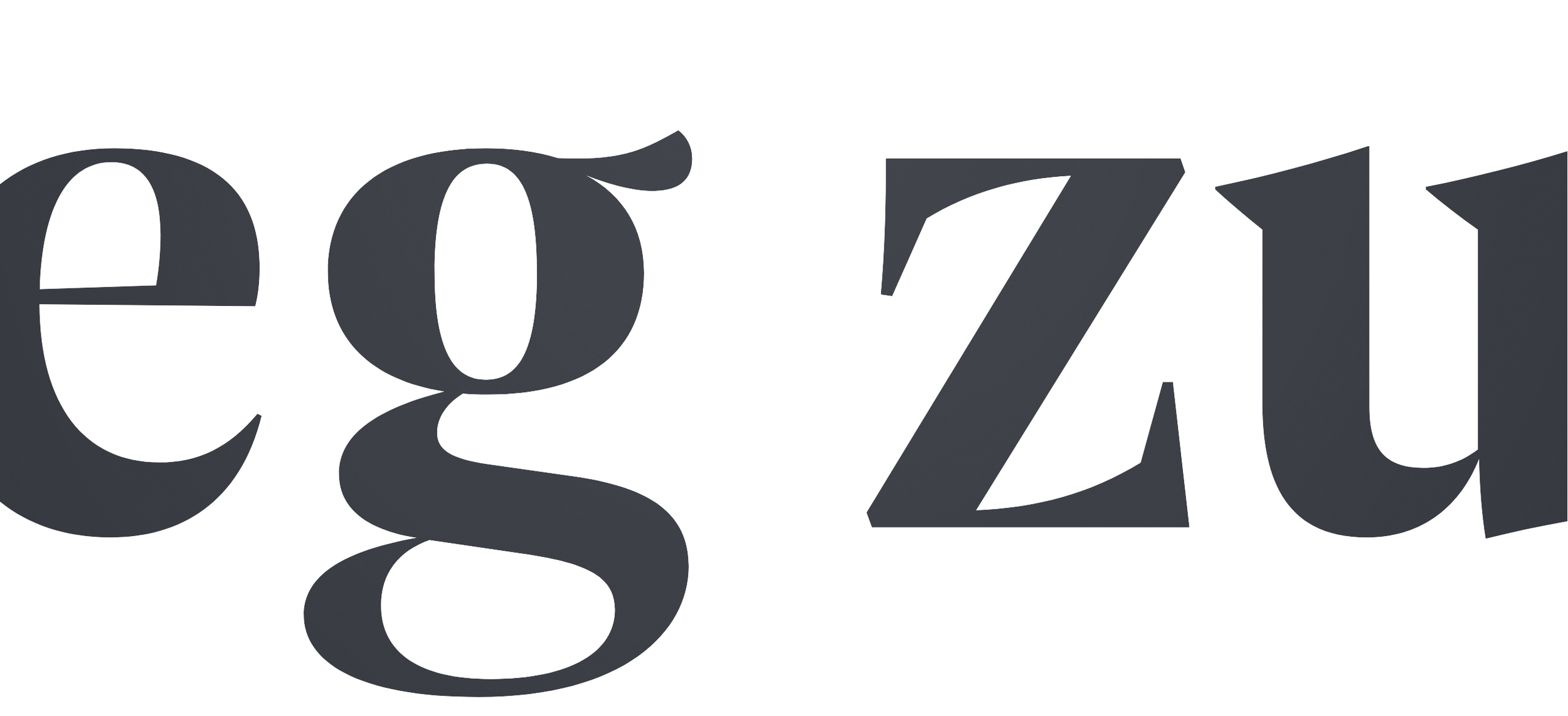 Schearzer Typograpieschriftzug „eg zu” als Aufmacher für Projektbeschreibung „Personal Branding”